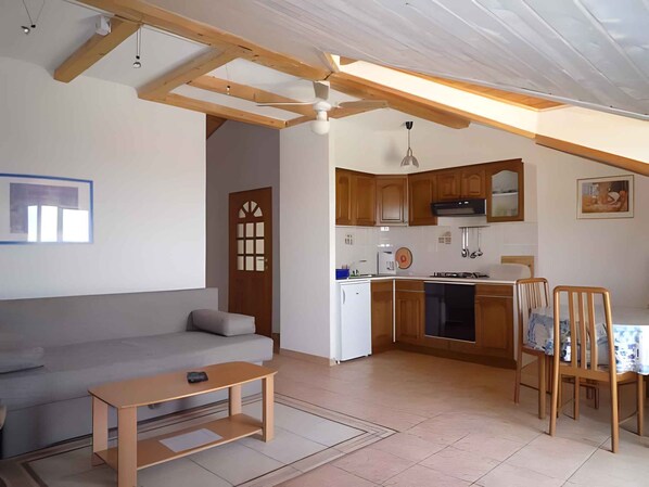 TV - Holiday apartment with garden furniture and barbecue (Novigrad)