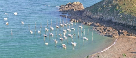 在海灘附近、釣魚