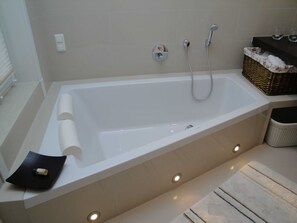 Shower, hair dryer, soap, toilet paper