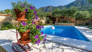 A pool area with terracotta pots of purple flowers, a stone pool, and a mountainous backdrop. - Pet friendly home in Desne (Desne)