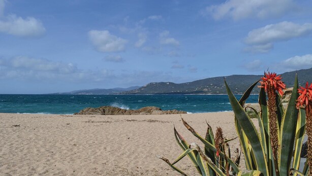 A beach with clear skies, calm sea, and distant mountains. - 3 bedroom awesome home in Casalabriva (Casalabriva)