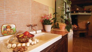 Une cuisine avec un mur recouvert de briques, un évier, un robinet ancien, un panier rempli de fruits et de légumes, et une plante en pot.