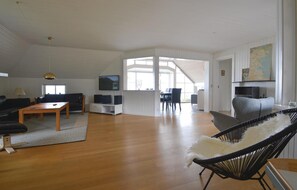Tv, eldstad och en stereo