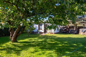 Unclassified image, 2 of 18, button