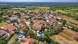 Luchtbeeld van een woonwijk met huizen, een zwembad en omliggend groen.