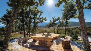 A stone bench with a stone table in a forested area with a view of distant hills.