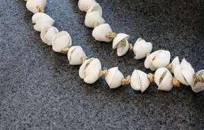 A necklace made of white seashells and twine.