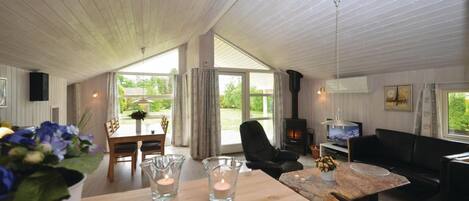 Télévision, cheminée, lecteur de DVD