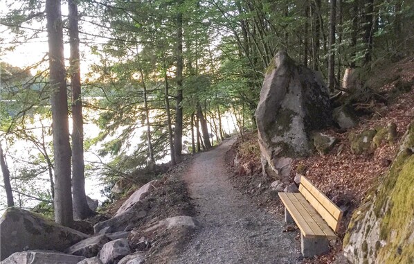 A forested hiking trail with a wooden bench on a rocky slope.