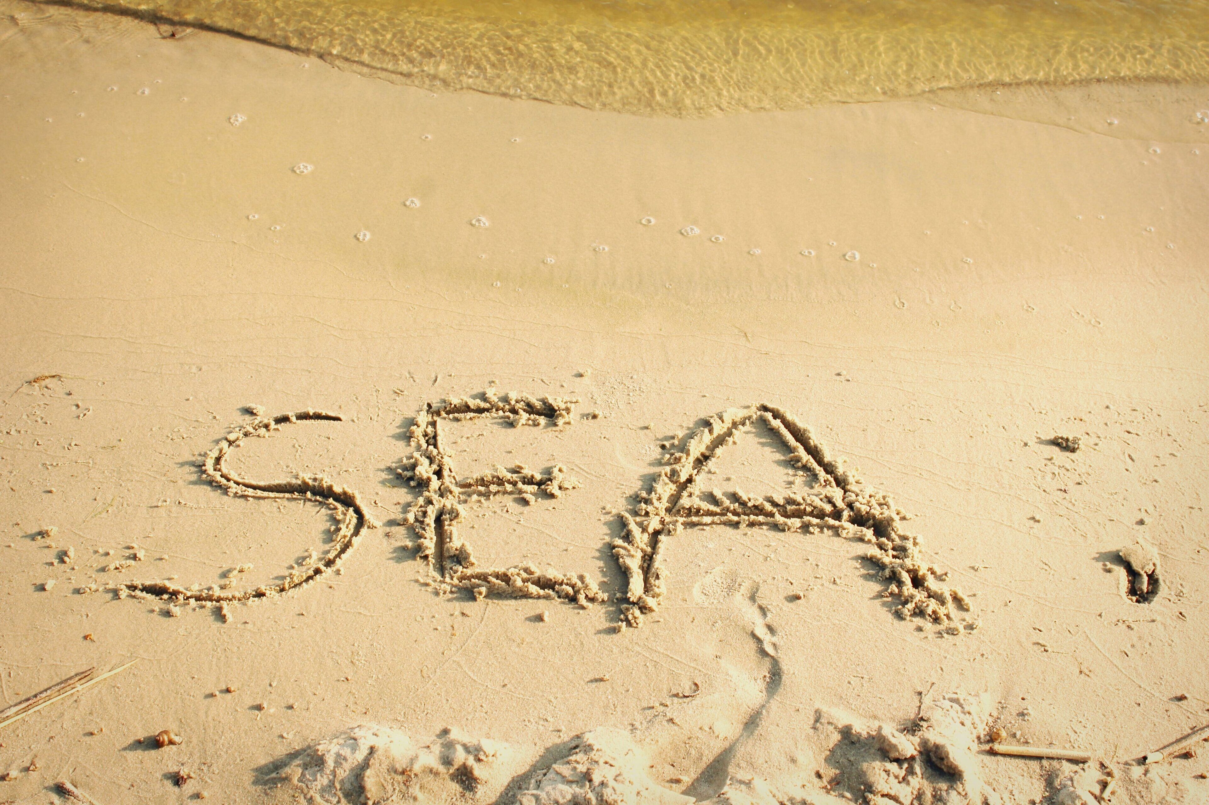 بالقرب من الشاطئ