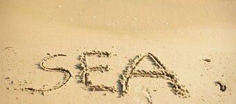 NY leilighet bare 8 minutter til stranden, midt i en idyllisk hage