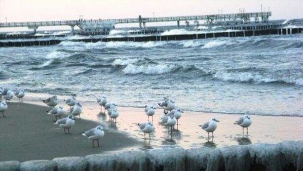 Ein Strand mit Wellen und einem Pier im Hintergrund.
