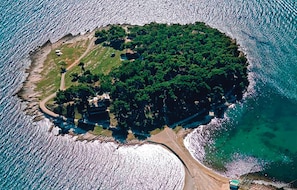 ビーチの近く