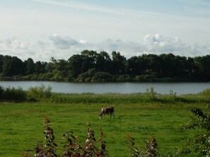 Unclassified image, 3 of 9, button