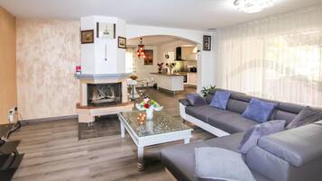 Televisión, chimenea y reproductor de DVD