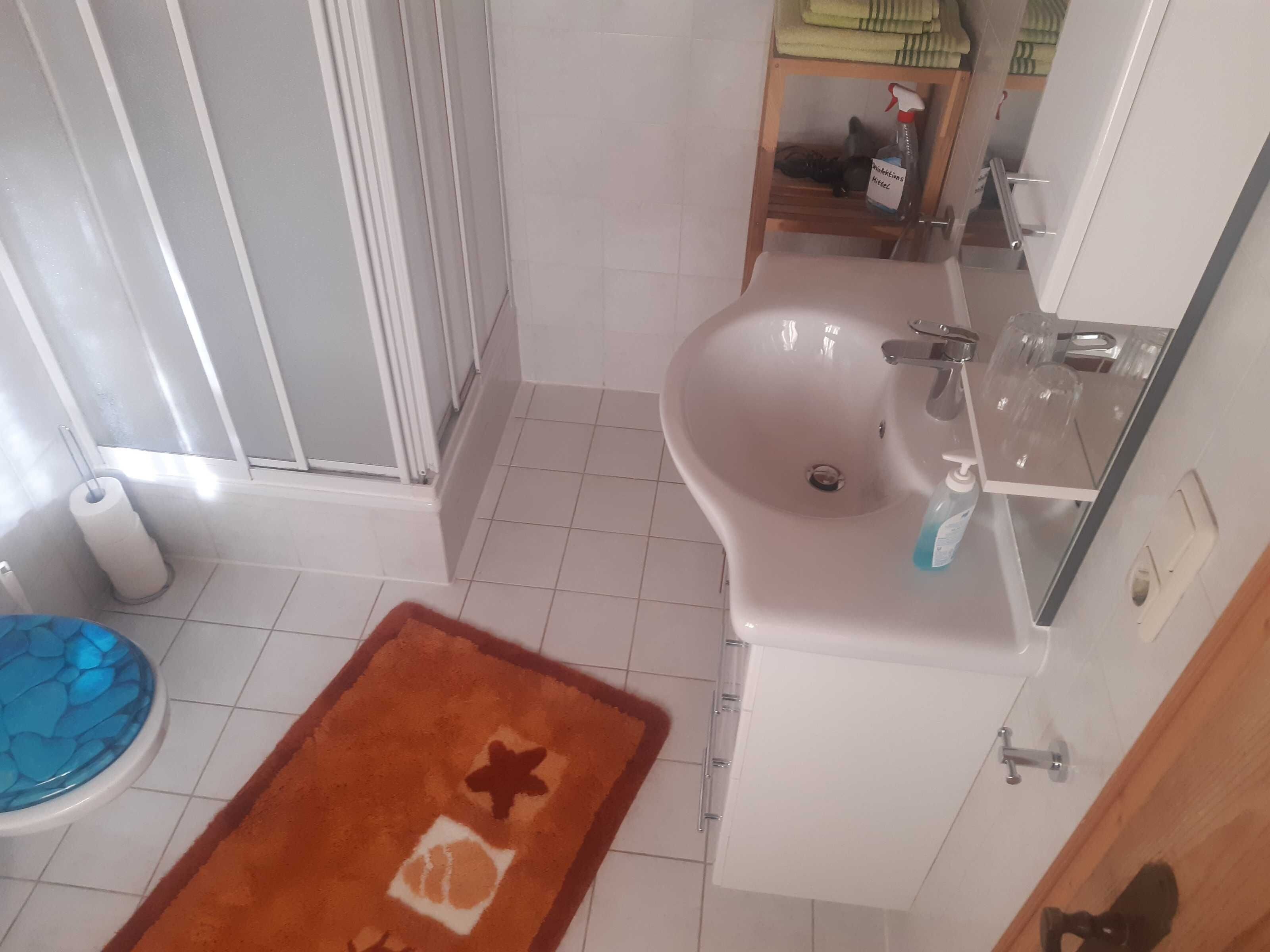 Ein Badezimmer mit Waschbecken, Toilette, Dusche und einem blauen Toilettendeckel.