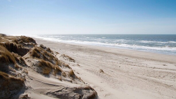 A sandy beach with dunes and the ocean in the background.