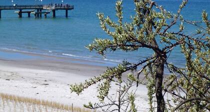 Bungalow on the Baltic Cycle Route Rerik - Bungalow with Terrace (50m², max 4 persons)