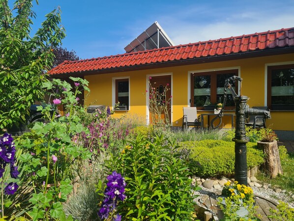 Immagine non classificata, 1 di 36, pulsante