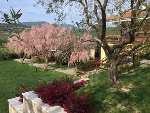 Jardines del alojamiento