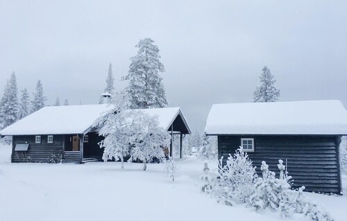 Cozy home in Rendalen with sauna
