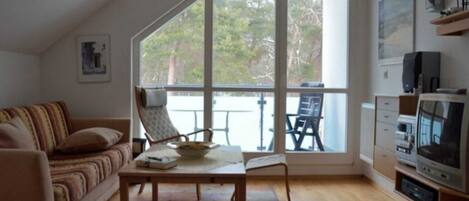 Televisión y chimenea