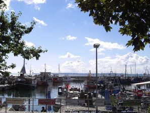 A marina with boats docked, a clear sky, and a signboard in the foreground.