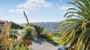 Un jardin agrémenté de diverses plantes et orné d’une statue, un sentier dallé et une vue sur des collines lointaines.