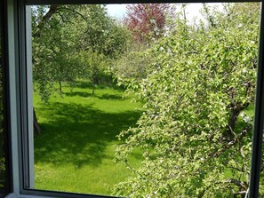 Imagen sin descripción, 3 de 19, botón