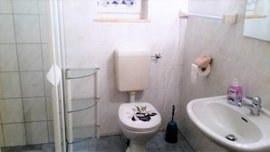 A bathroom with a toilet, sink, and a shower area.