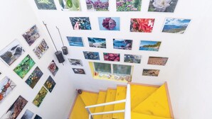 Una escalera con escalones amarillos que lleva a un rellano donde se exhiben varias fotografías enmarcadas en la pared.