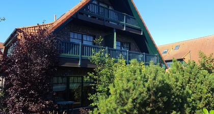 Asunto 01,12 - House 12