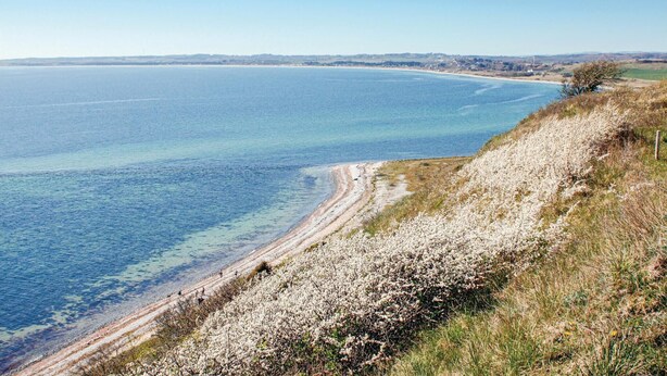 Un paysage côtier offrant une vue dégagée sur la mer, une plage de sable et une falaise herbeuse.