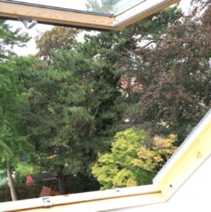 Nicht klassifiziertes Bild, 5 von 22, Schaltfläche