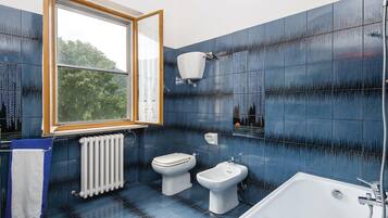 Combined shower/tub