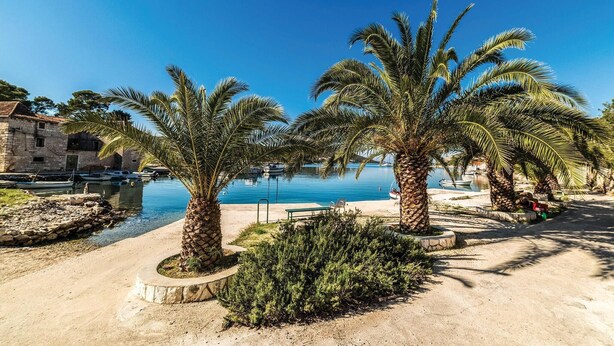 Paesaggio costiero con palme, cielo azzurro limpido e un corpo d'acqua con imbarcazioni.
