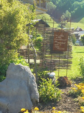 Unclassified image, 3 of 31, button