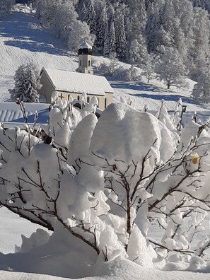 Unclassified image, 4 of 31, button