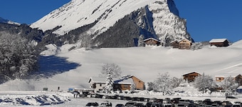 Apartment - Geiger Reinhilde - Ferienwohnung Jägerheim