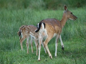 Nicht klassifiziertes Bild, 2 von 35, Schaltfläche