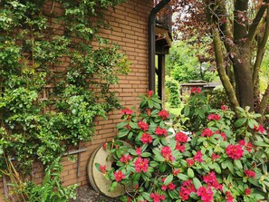 Immagine non classificata, 4 di 35, pulsante