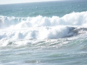 Imagen sin descripción, 5 de 23, botón