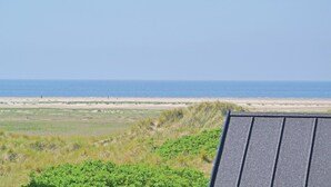 Une vue sur la plage, avec un ciel dégagé, une plage de sable et des dunes herbeuses.