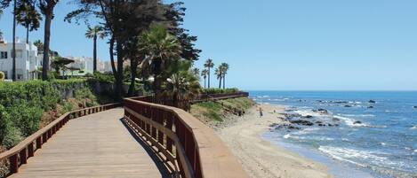 بالقرب من الشاطئ، صيد الأسماك