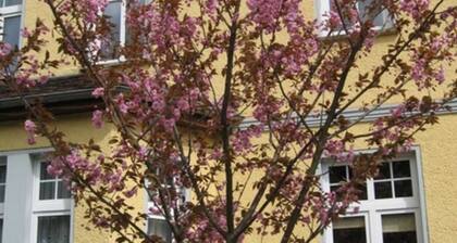 Einzelzimmer - Pension Villa Martha