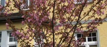 Single Room - Pension Villa Martha