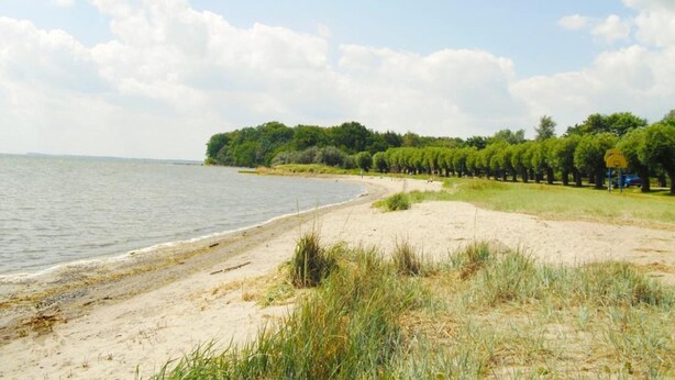 A beach with a sandy shore, a calm body of water, and a line of trees in the background.