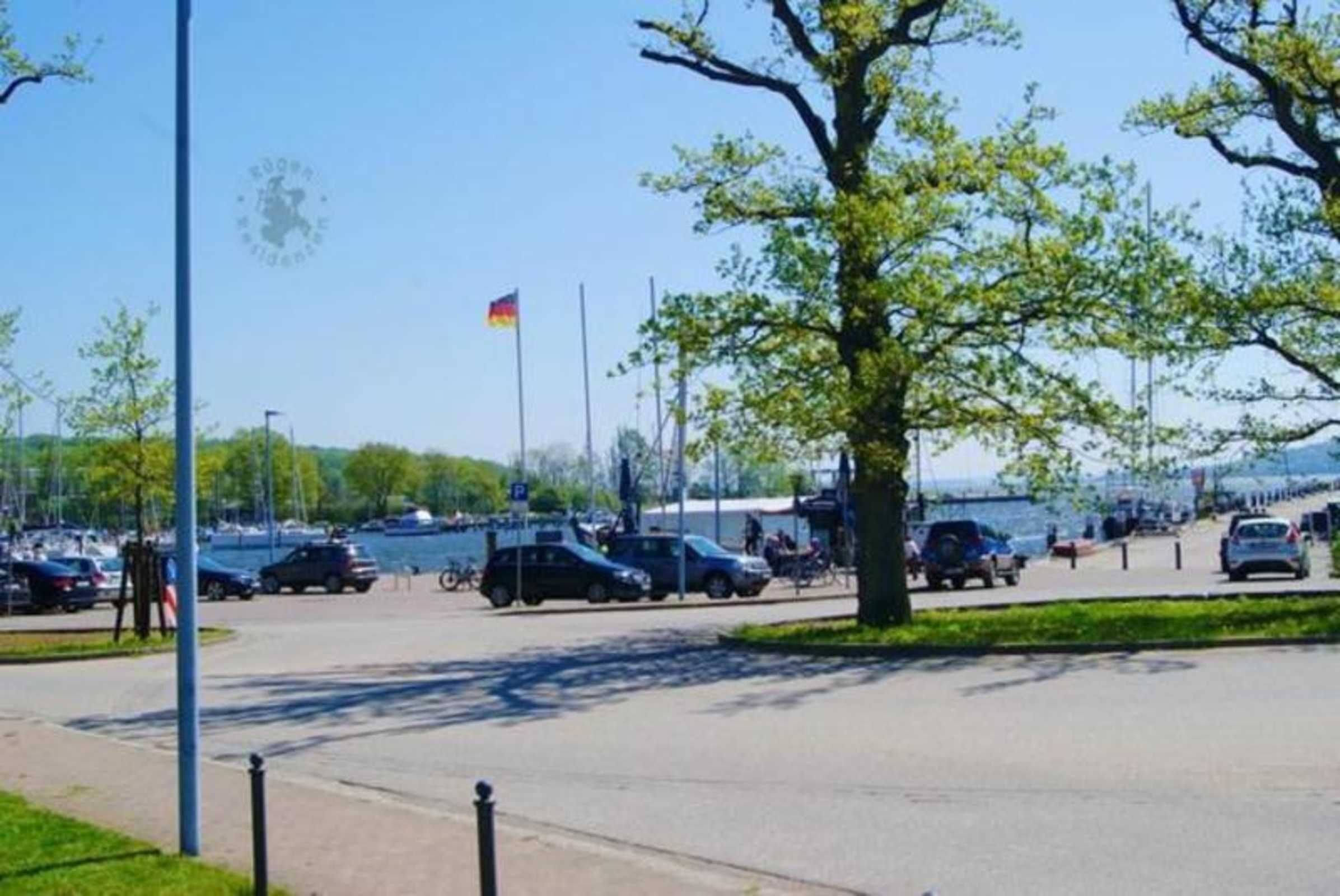 Ein Parkplatz am Wasser mit Autos, einer Flagge und einem Baum.