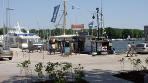 A marina with boats docked, a small boat rental service, and a clear sky.