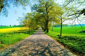 Imagen sin descripción, 4 de 24, botón